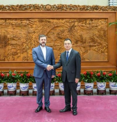 外交部部长助理刘彬会见伊朗副外长